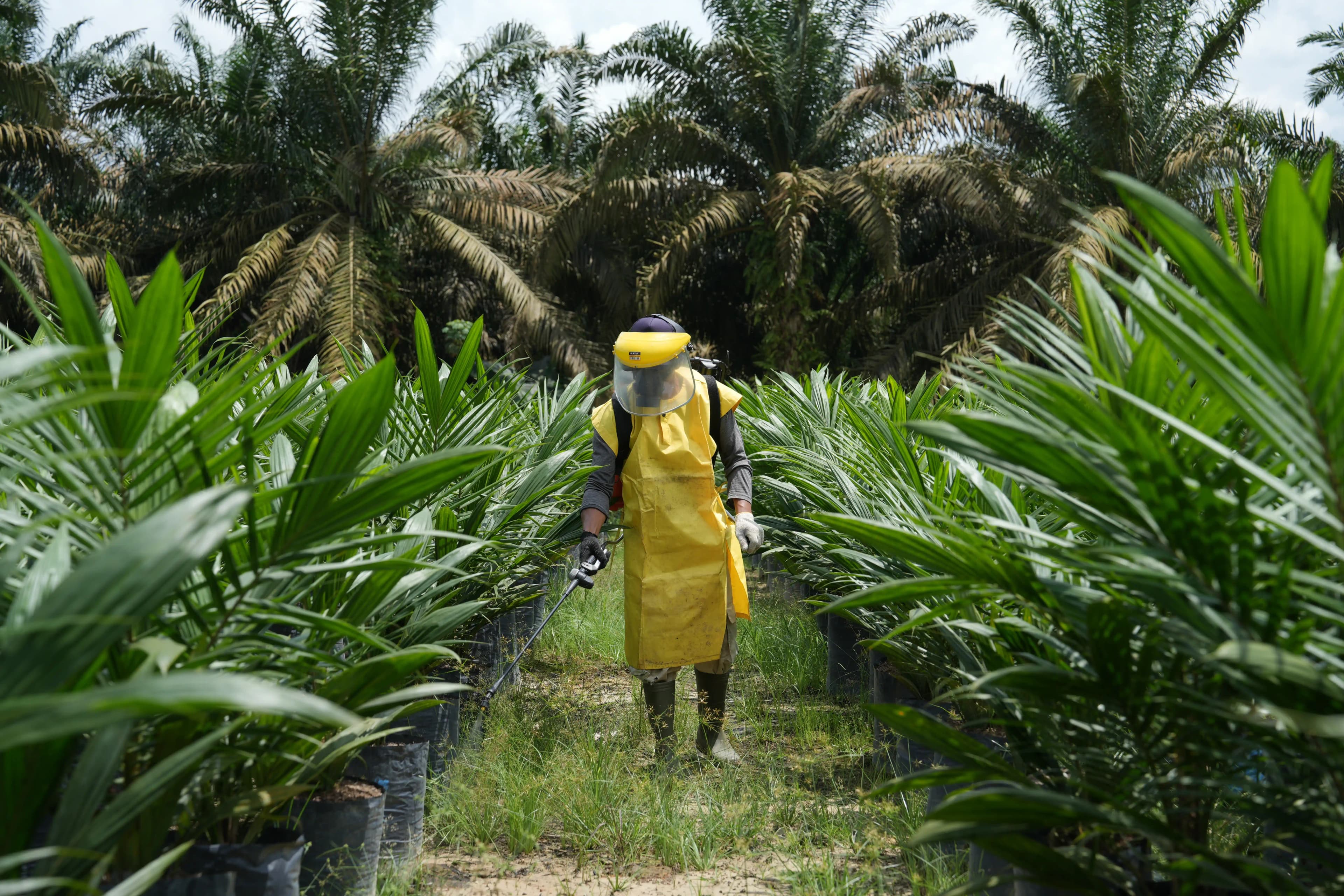 2. Integrated Crop Care