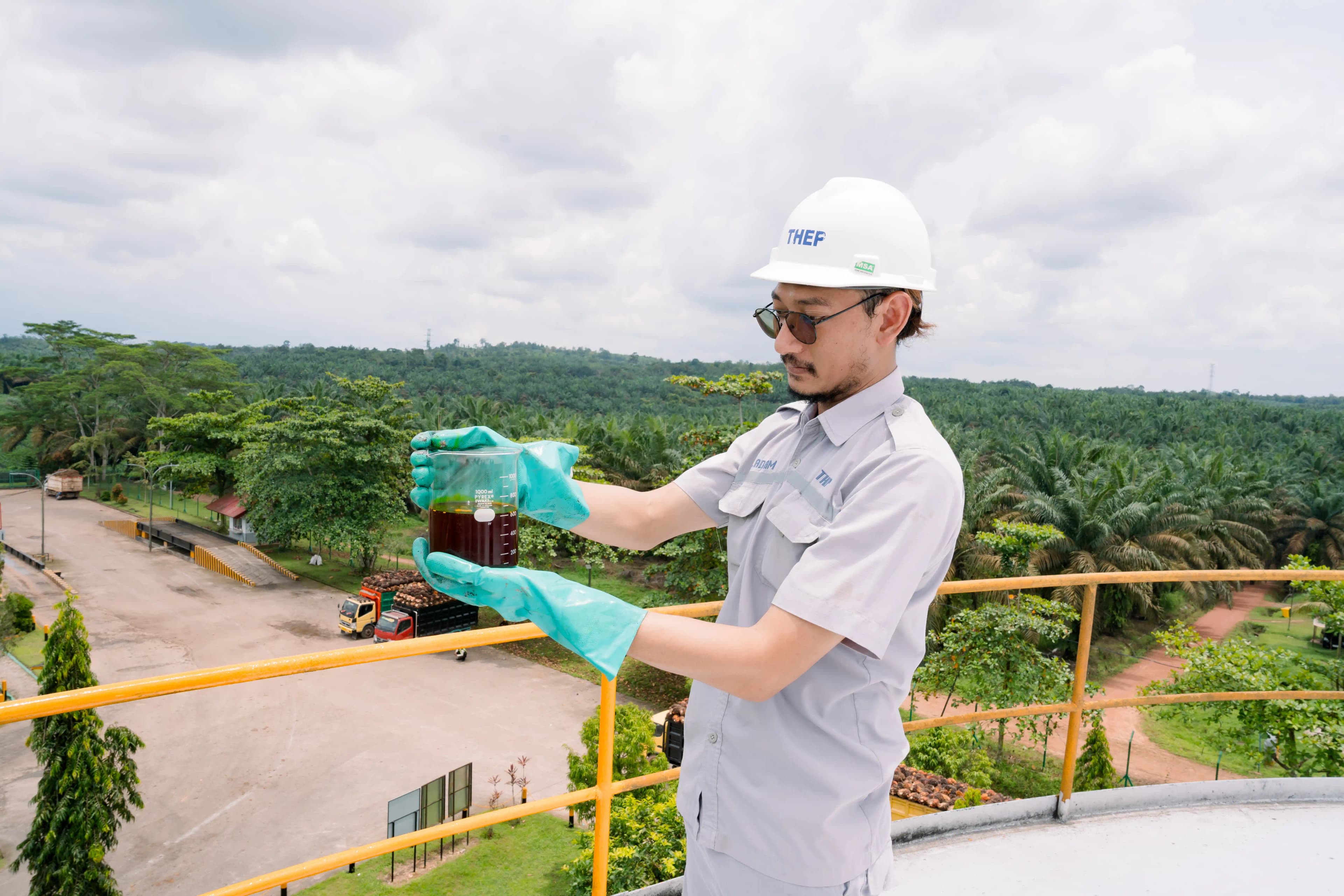 Crude Palm Oil (CPO) Product