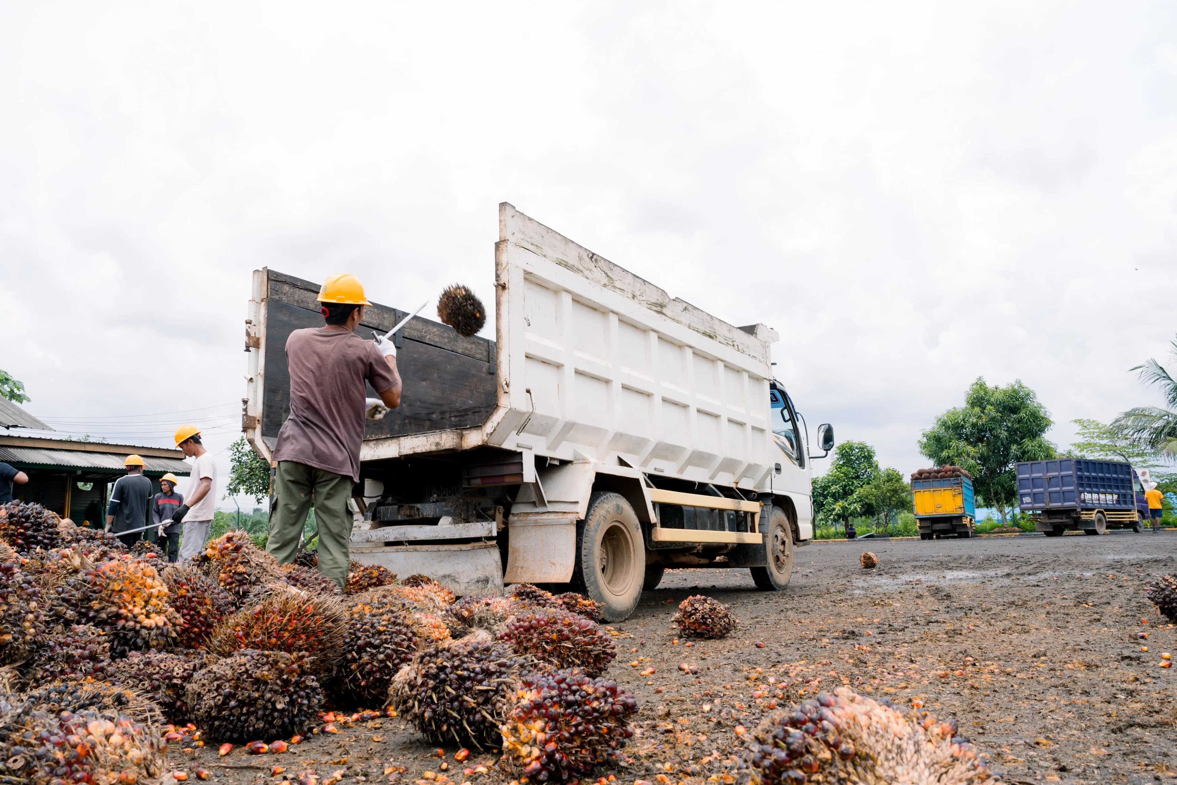 4. Logistics & Rapid Transport